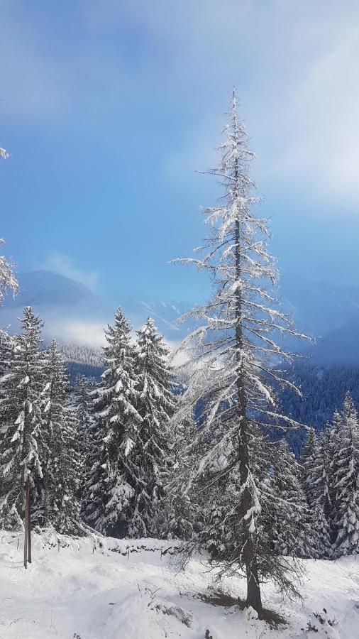 Auszeit Chalets Bschlabs Esterno foto